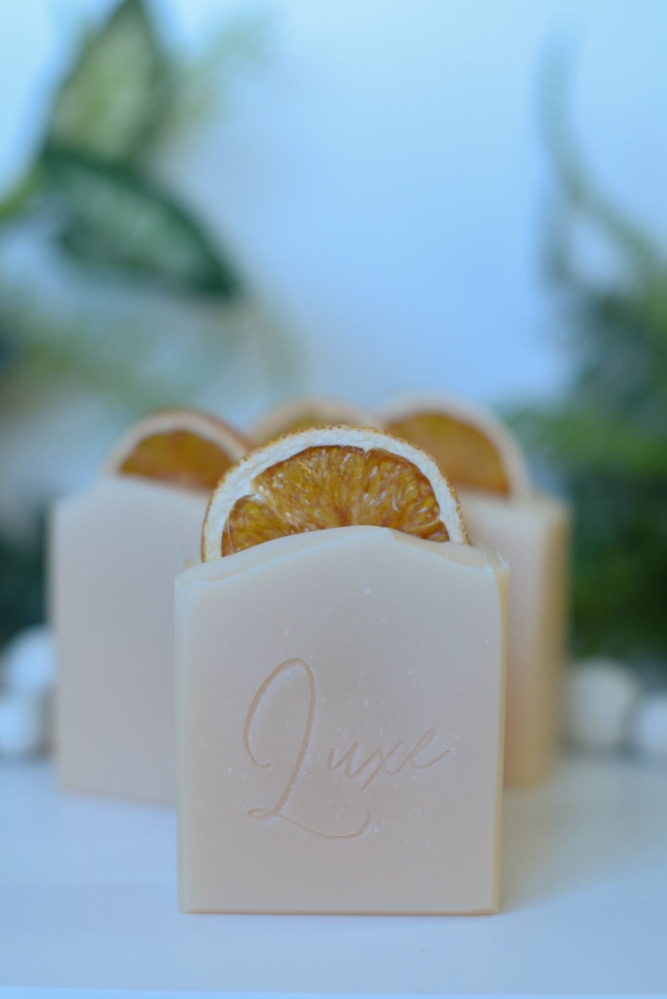 Satsuma Soap